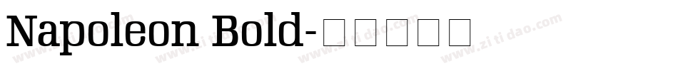 Napoleon Bold字体转换